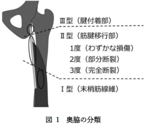 ５場所連続休場鶴竜 診断書 左半腱様筋部分断裂 公益財団法人 高知県スポーツ協会